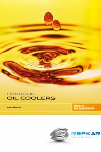 Screenshot 2025-02-24 at 03.15.11